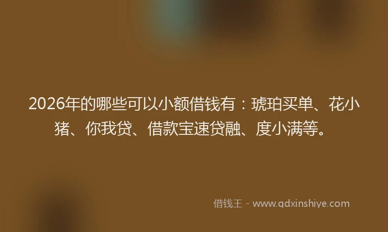 2026年的哪些可以小额借钱有:琥珀买单、花小猪、你我贷、借款宝速贷融、度小满等。