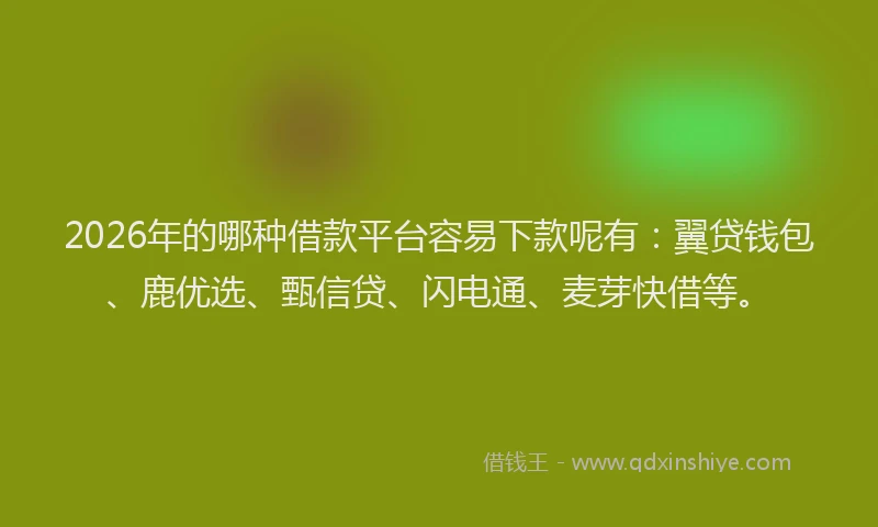 2026年的哪种借款平台容易下款呢有:翼贷钱包、鹿优选、甄信贷、闪电通、麦芽快借等。