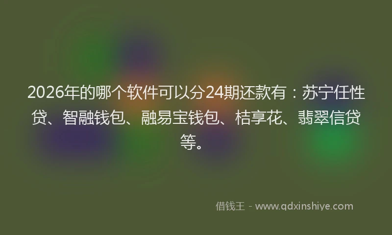 2026年的哪个软件可以分24期还款有:苏宁任性贷、智融钱包、融易宝钱包、桔享花、翡翠信贷等。