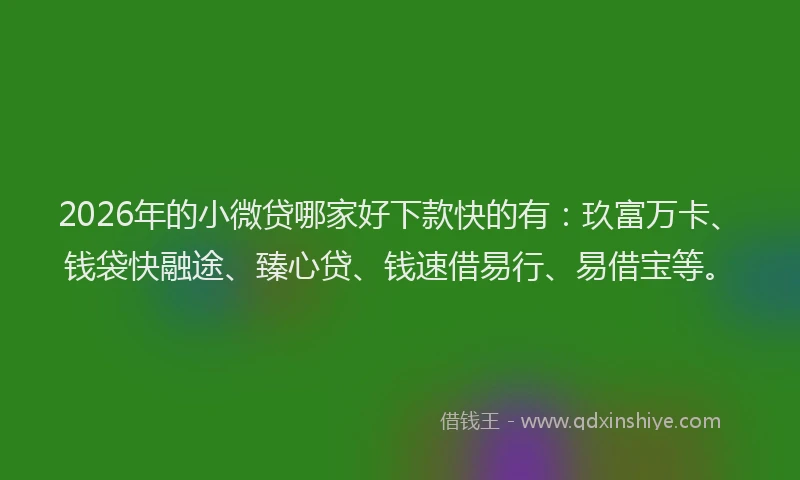 2026年的小微贷哪家好下款快的有：玖富万卡、钱袋快融途、臻心贷、钱速借易行、易借宝等。