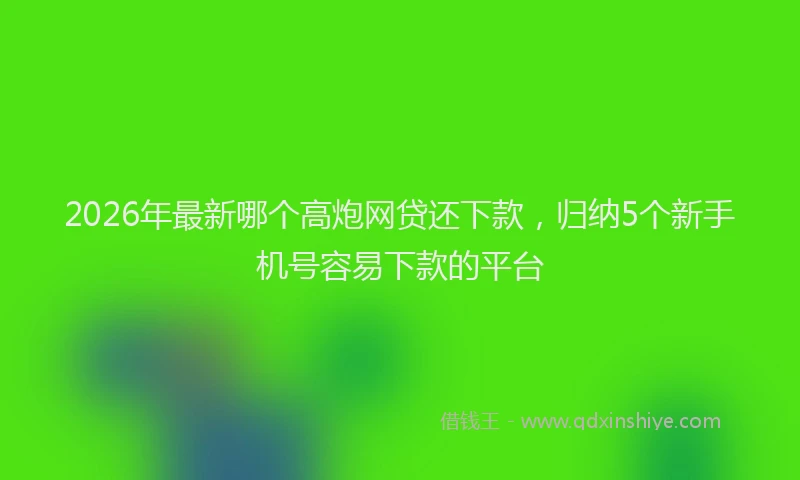 2026年最新哪个高炮网贷还下款，归纳5个新手机号容易下款的平台