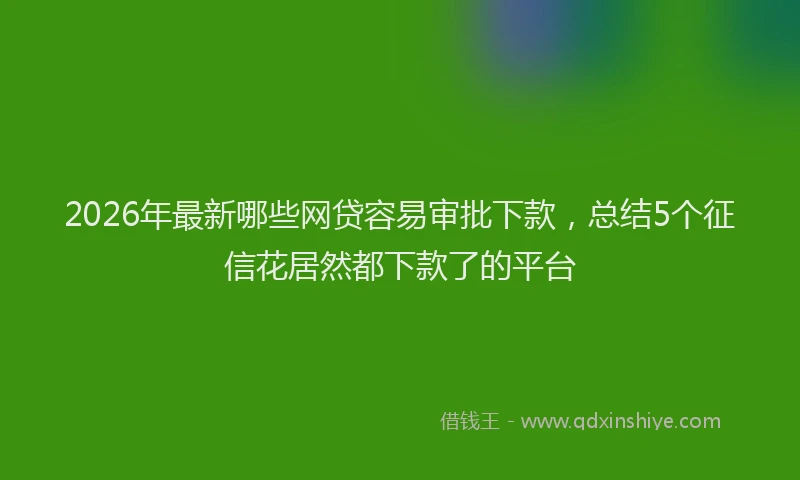 2026年最新哪些网贷容易审批下款，总结5个征信花居然都下款了的平台