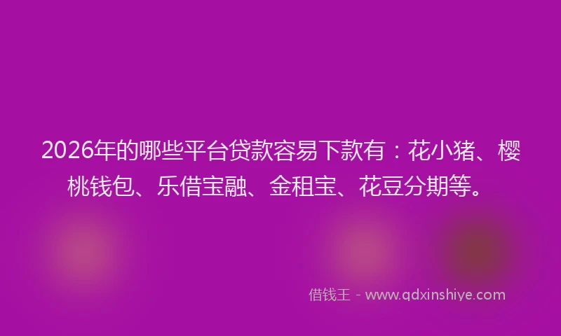 2026年的哪些平台贷款容易下款有：花小猪、樱桃钱包、乐借宝融、金租宝、花豆分期等。