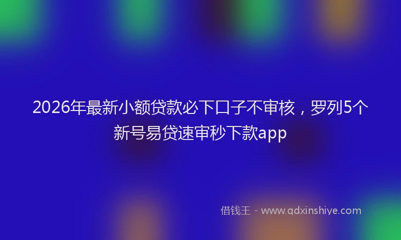 2026年最新小额贷款必下口子不审核，罗列5个新号易贷速审秒下款app