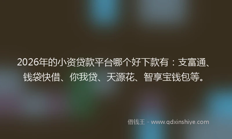 2026年的小资贷款平台哪个好下款有：支富通、钱袋快借、你我贷、天源花、智享宝钱包等。