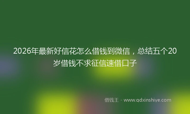 2026年最新好信花怎么借钱到微信，总结五个20岁借钱不求征信速借口子