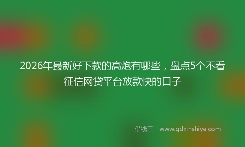 2026年最新好下款的高炮有哪些，盘点5个不看征信网贷平台放款快的口子