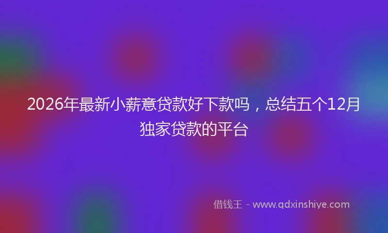 2026年最新小薪意贷款好下款吗，总结五个12月独家贷款的平台