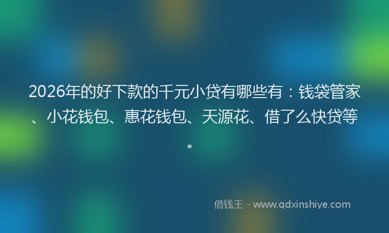 2026年的好下款的千元小贷有哪些有：钱袋管家、小花钱包、惠花钱包、天源花、借了么快贷等。
