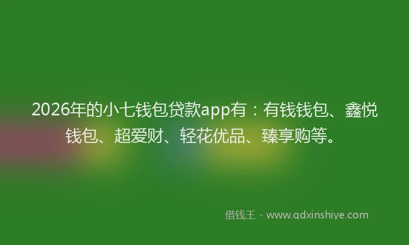 2026年的小七钱包贷款app有：有钱钱包、鑫悦钱包、超爱财、轻花优品、臻享购等。