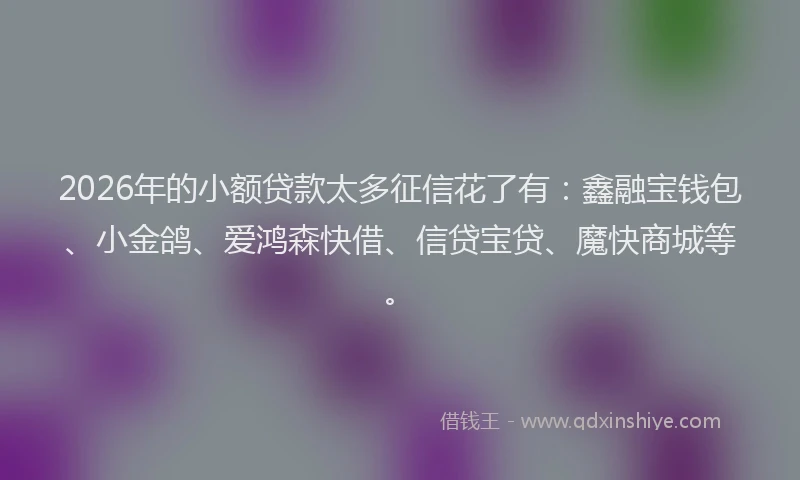 2026年的小额贷款太多征信花了有：鑫融宝钱包、小金鸽、爱鸿森快借、信贷宝贷、魔快商城等。