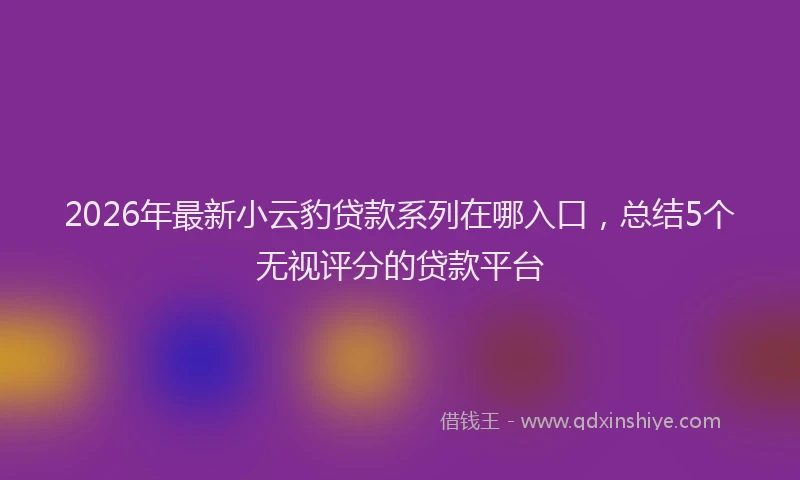 2026年最新小云豹贷款系列在哪入口，总结5个无视评分的贷款平台