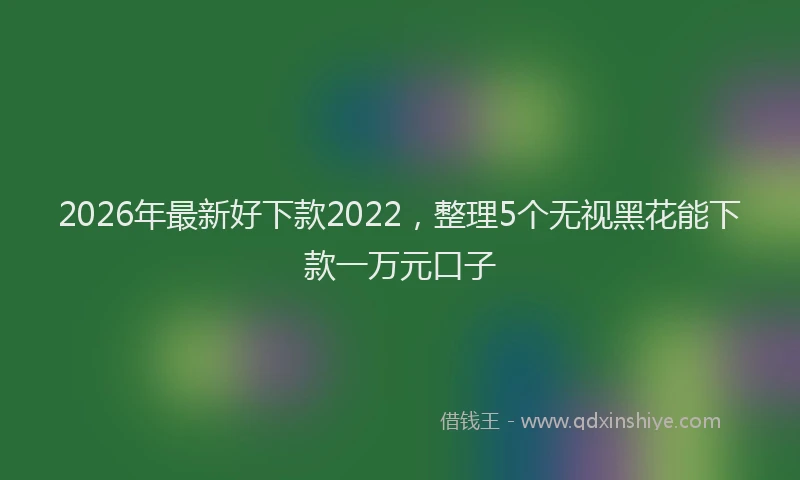 2026年最新好下款2022，整理5个无视黑花能下款一万元口子