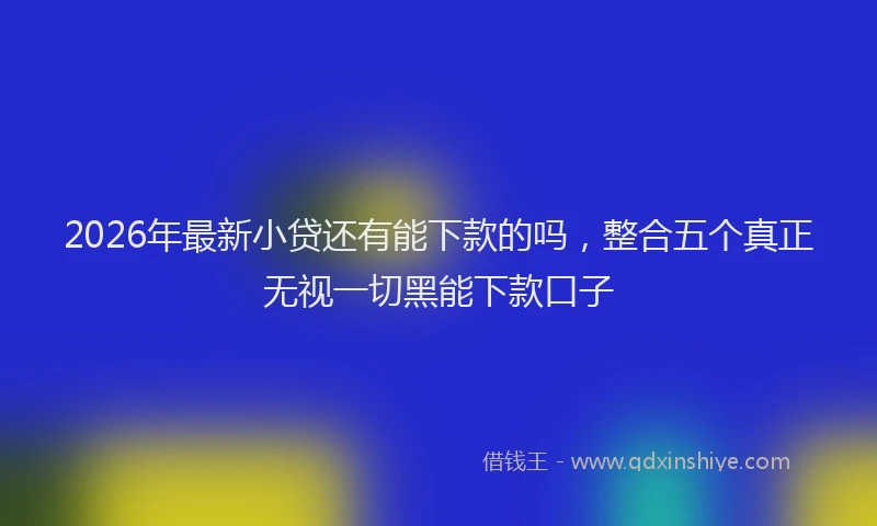 2026年最新小贷还有能下款的吗，整合五个真正无视一切黑能下款口子