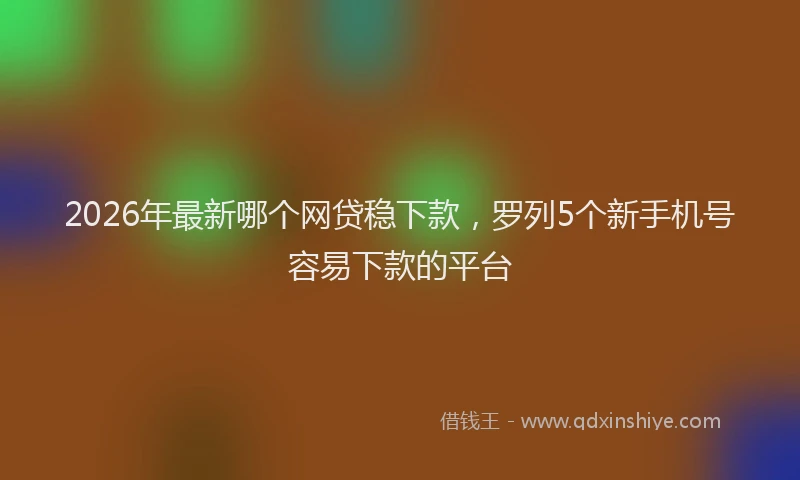 2026年最新哪个网贷稳下款，罗列5个新手机号容易下款的平台
