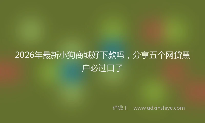 2026年最新小狗商城好下款吗，分享五个网贷黑户必过口子