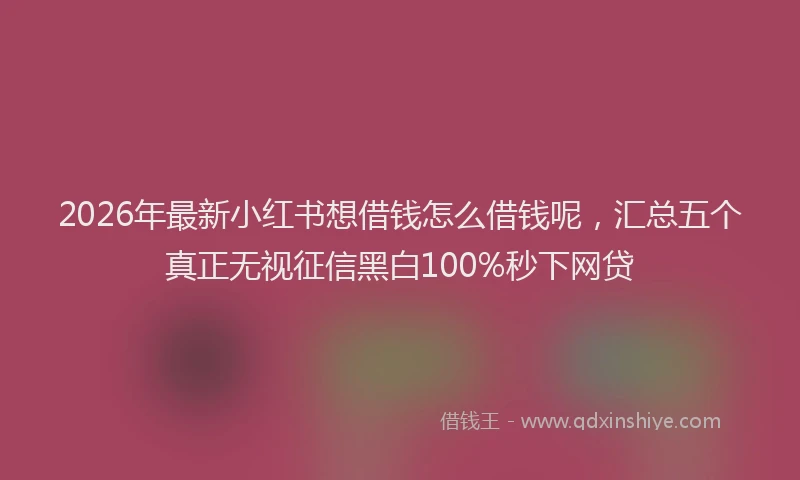 2026年最新小红书想借钱怎么借钱呢，汇总五个真正无视征信黑白100%秒下网贷