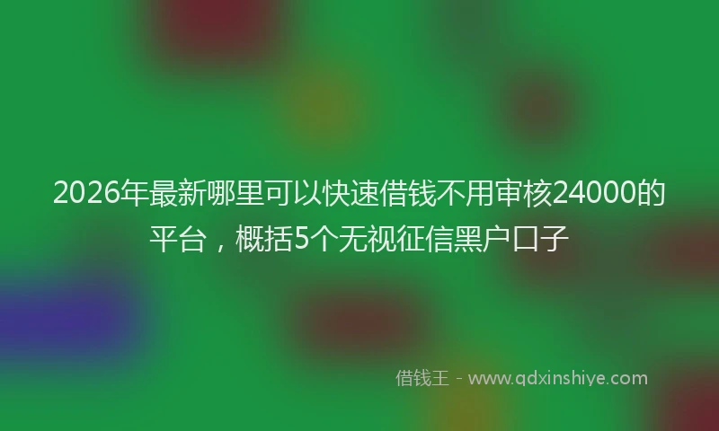2026年最新哪里可以快速借钱不用审核24000的平台,概括5个无视征信黑户口子