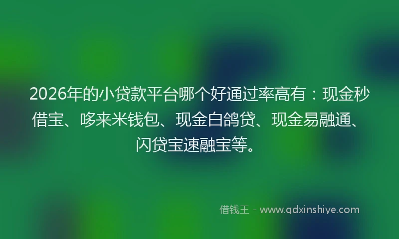 2026年的小贷款平台哪个好通过率高有：现金秒借宝、哆来米钱包、现金白鸽贷、现金易融通、闪贷宝速融宝等。