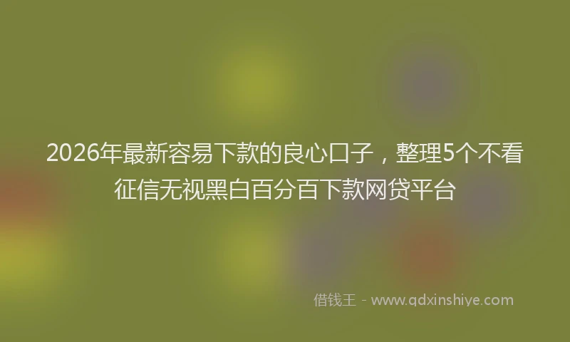 2026年最新容易下款的良心口子，整理5个不看征信无视黑白百分百下款网贷平台