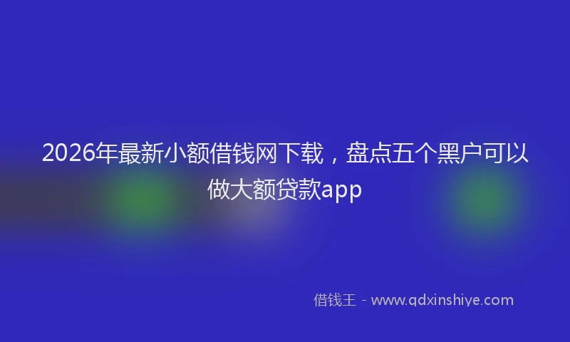 2026年最新小额借钱网下载，盘点五个黑户可以做大额贷款app