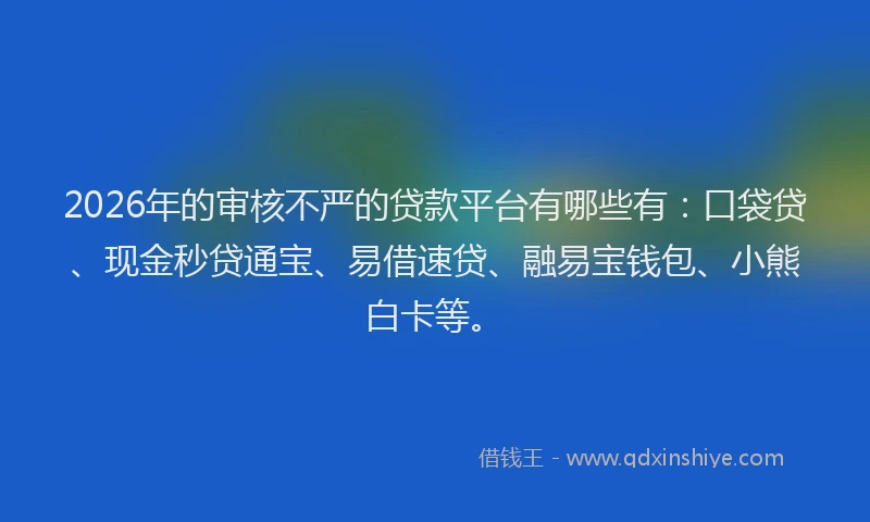 2026年的审核不严的贷款平台有哪些有：口袋贷、现金秒贷通宝、易借速贷、融易宝钱包、小熊白卡等。