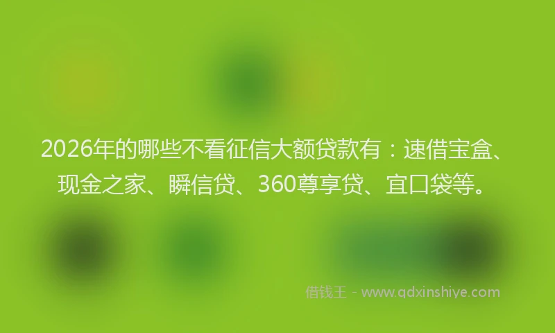 2026年的哪些不看征信大额贷款有：速借宝盒、现金之家、瞬信贷、360尊享贷、宜口袋等。