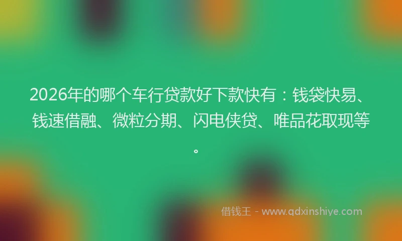 2026年的哪个车行贷款好下款快有：钱袋快易、钱速借融、微粒分期、闪电侠贷、唯品花取现等。