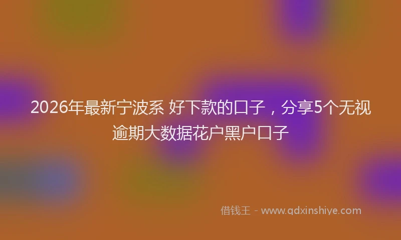 2026年最新宁波系 好下款的口子，分享5个无视逾期大数据花户黑户口子