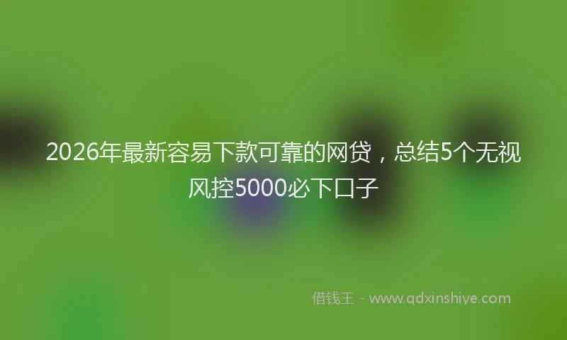 2026年最新容易下款可靠的网贷，总结5个无视风控5000必下口子
