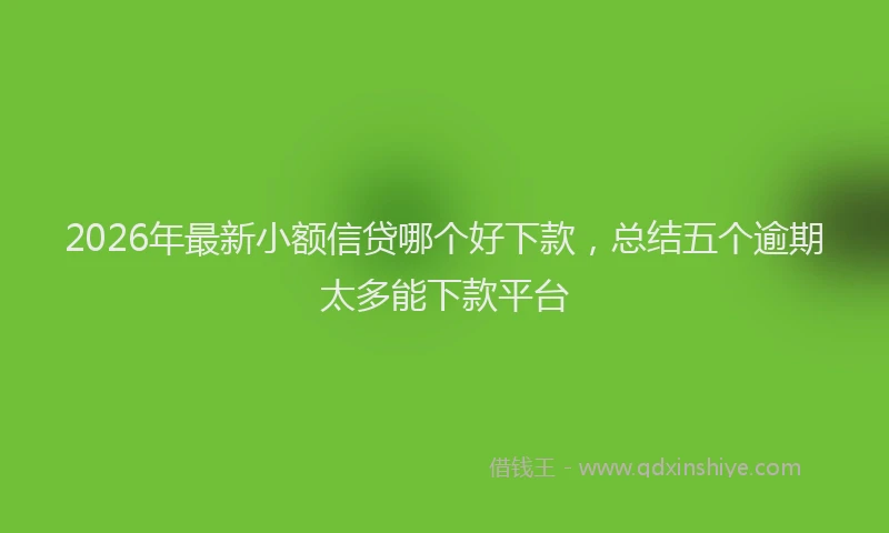 2026年最新小额信贷哪个好下款，总结五个逾期太多能下款平台