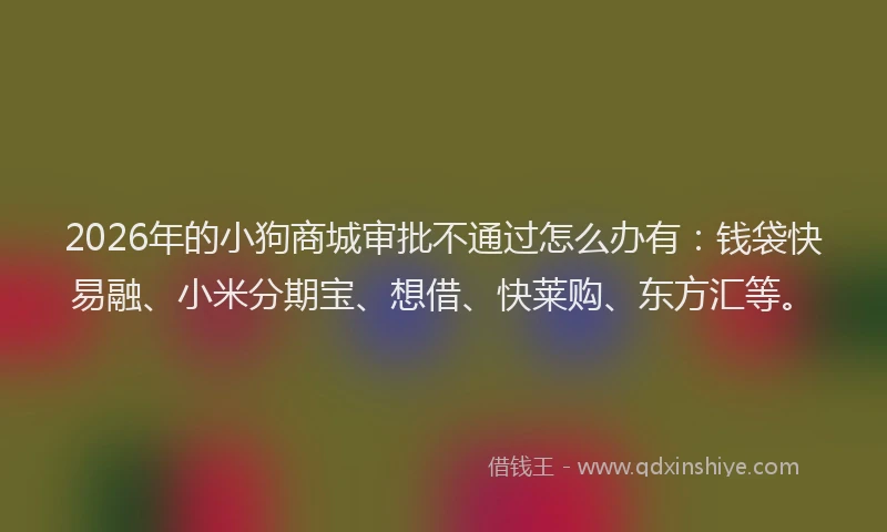 2026年的小狗商城审批不通过怎么办有：钱袋快易融、小米分期宝、想借、快莱购、东方汇等。