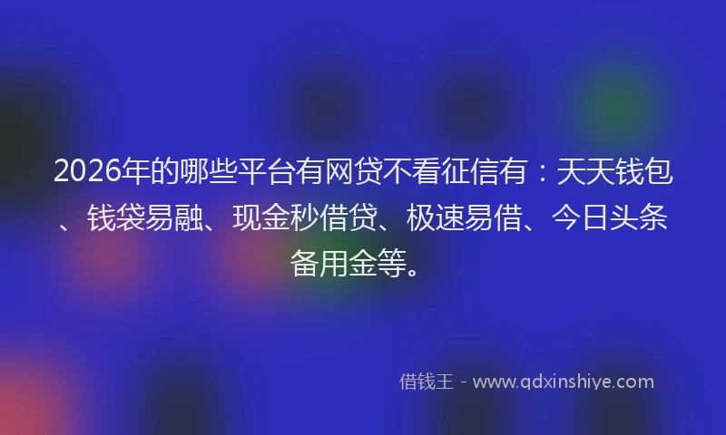 2026年的哪些平台有网贷不看征信有：天天钱包、钱袋易融、现金秒借贷、极速易借、今日头条备用金等。