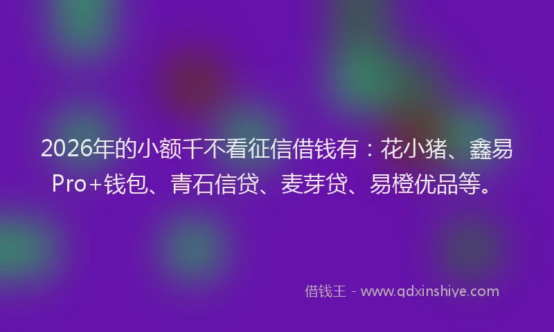 2026年的小额千不看征信借钱有:花小猪、鑫易Pro+钱包、青石信贷、麦芽贷、易橙优品等。