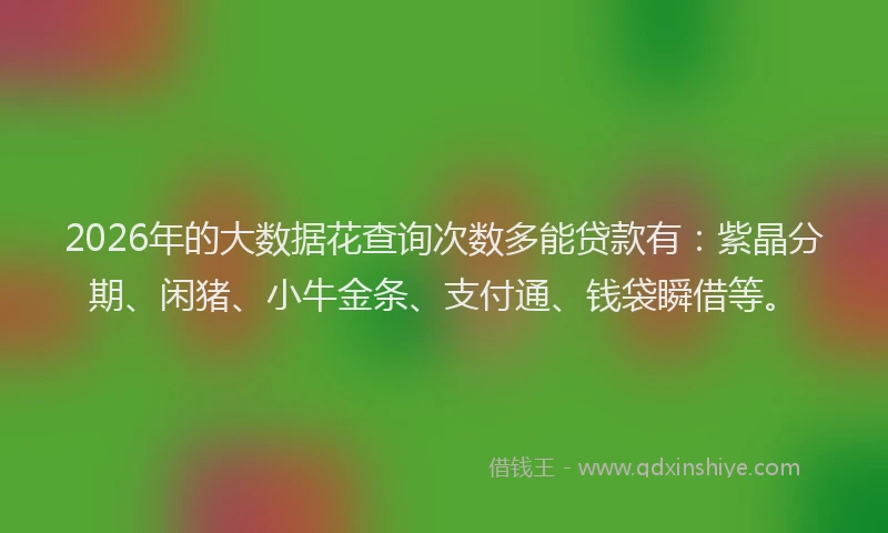 2026年的大数据花查询次数多能贷款有：紫晶分期、闲猪、小牛金条、支付通、钱袋瞬借等。