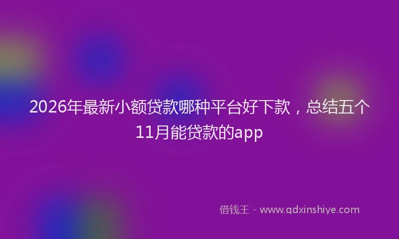 2026年最新小额贷款哪种平台好下款，总结五个11月能贷款的app