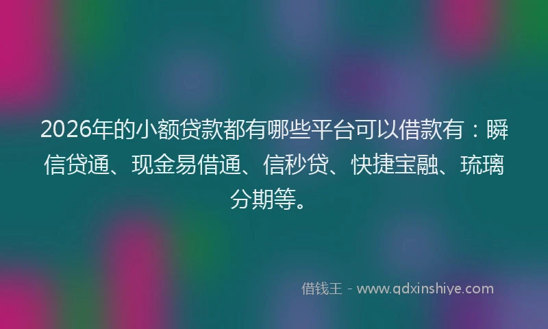 2026年的小额贷款都有哪些平台可以借款有：瞬信贷通、现金易借通、信秒贷、快捷宝融、琉璃分期等。