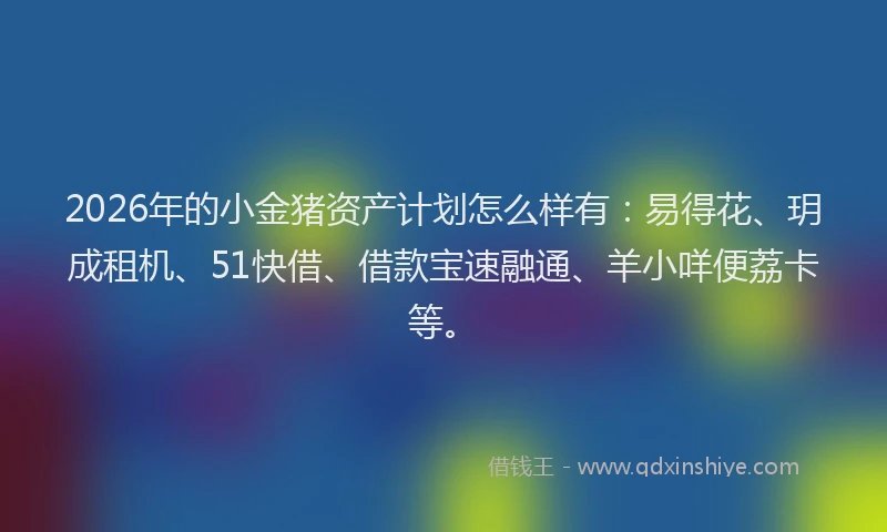 2026年的小金猪资产计划怎么样有：易得花、玥成租机、51快借、借款宝速融通、羊小咩便荔卡等。