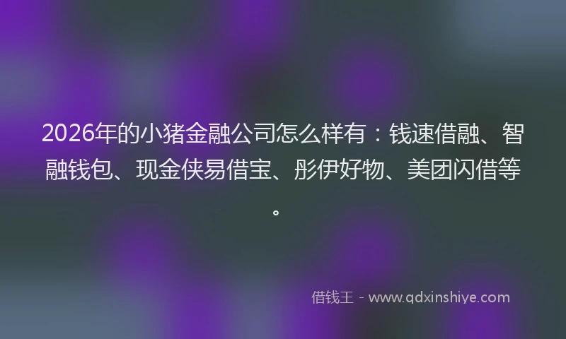 2026年的小猪金融公司怎么样有：钱速借融、智融钱包、现金侠易借宝、彤伊好物、美团闪借等。