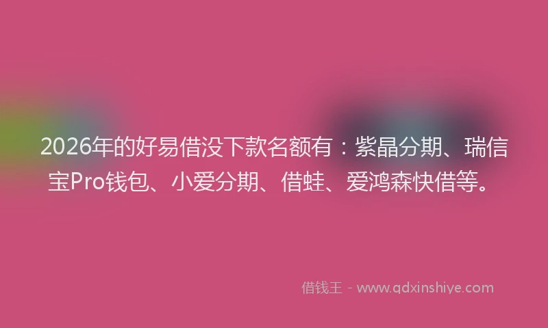 2026年的好易借没下款名额有：紫晶分期、瑞信宝Pro钱包、小爱分期、借蛙、爱鸿森快借等。