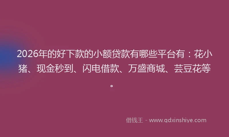 2026年的好下款的小额贷款有哪些平台有：花小猪、现金秒到、闪电借款、万盛商城、芸豆花等。