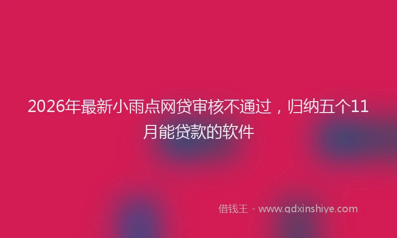 2026年最新小雨点网贷审核不通过，归纳五个11月能贷款的软件