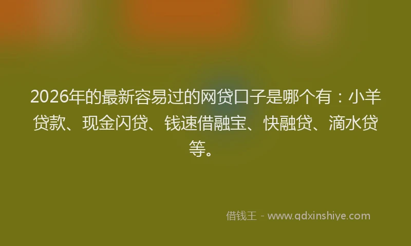 2026年的最新容易过的网贷口子是哪个有：小羊贷款、现金闪贷、钱速借融宝、快融贷、滴水贷等。