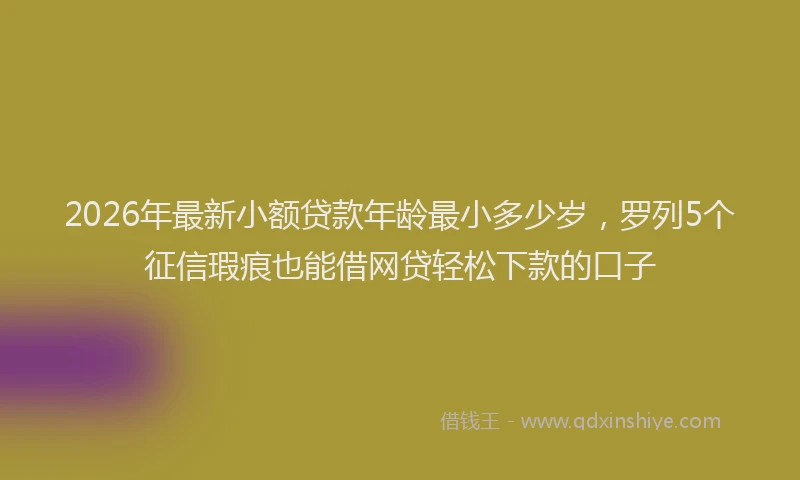2026年最新小额贷款年龄最小多少岁，罗列5个征信瑕疵也能借网贷轻松下款的口子