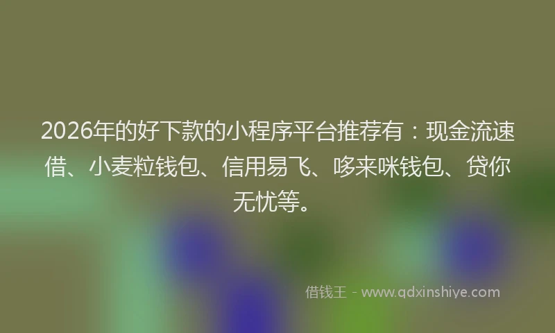 2026年的好下款的小程序平台推荐有：现金流速借、小麦粒钱包、信用易飞、哆来咪钱包、贷你无忧等。