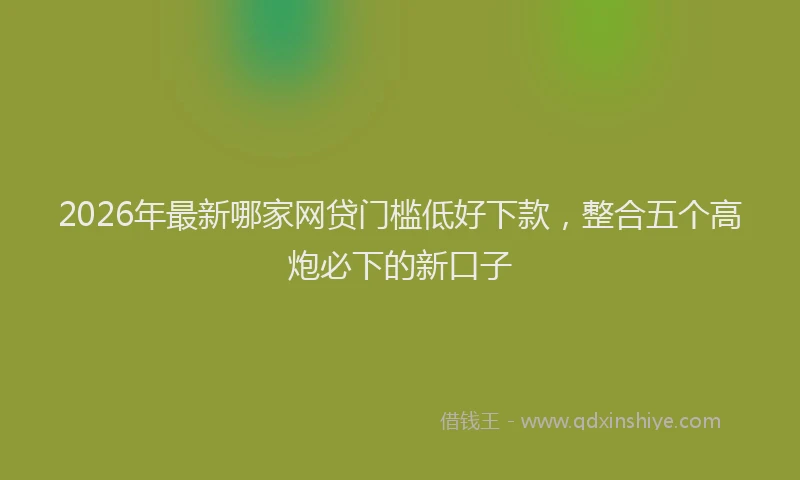 2026年最新哪家网贷门槛低好下款，整合五个高炮必下的新口子