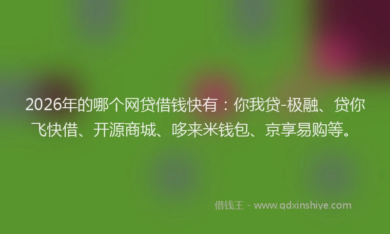 2026年的哪个网贷借钱快有：你我贷-极融、贷你飞快借、开源商城、哆来米钱包、京享易购等。