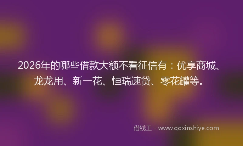 2026年的哪些借款大额不看征信有：优享商城、龙龙用、新一花、恒瑞速贷、零花罐等。