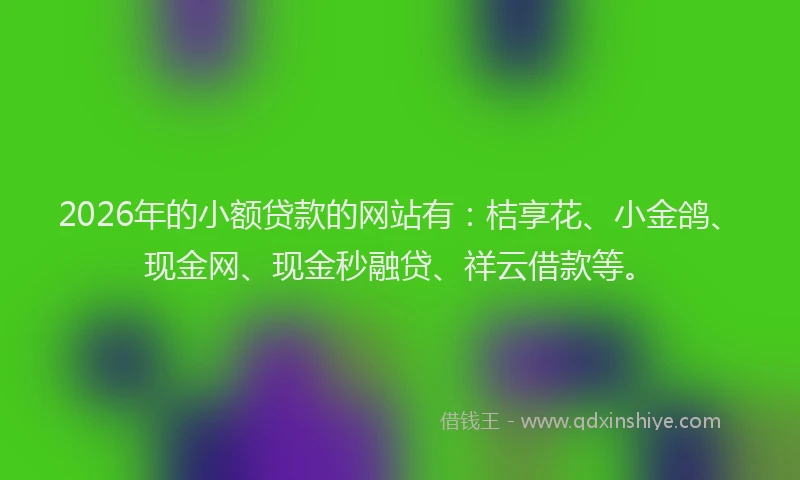 2026年的小额贷款的网站有：桔享花、小金鸽、现金网、现金秒融贷、祥云借款等。