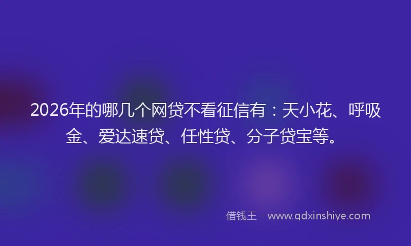 2026年的哪几个网贷不看征信有:天小花、呼吸金、爱达速贷、任性贷、分子贷宝等。